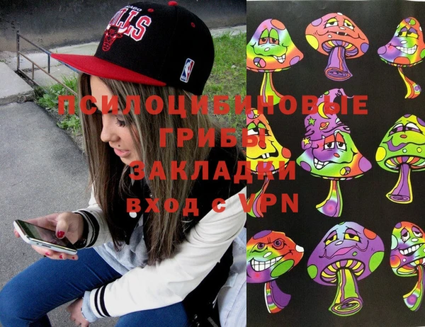 гидра Абаза
