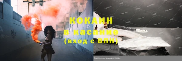 гидра Абаза