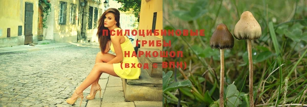 крисы Абинск
