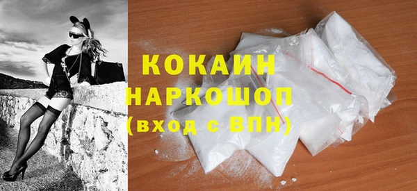 гидра Абаза