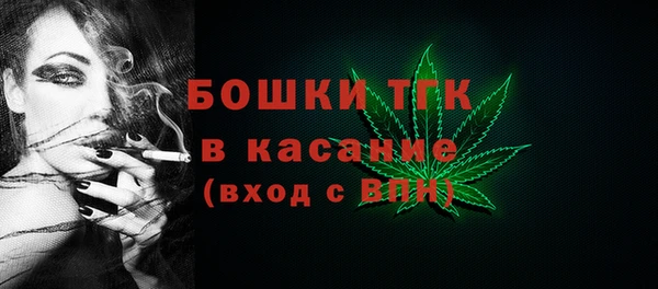 гидра Абаза